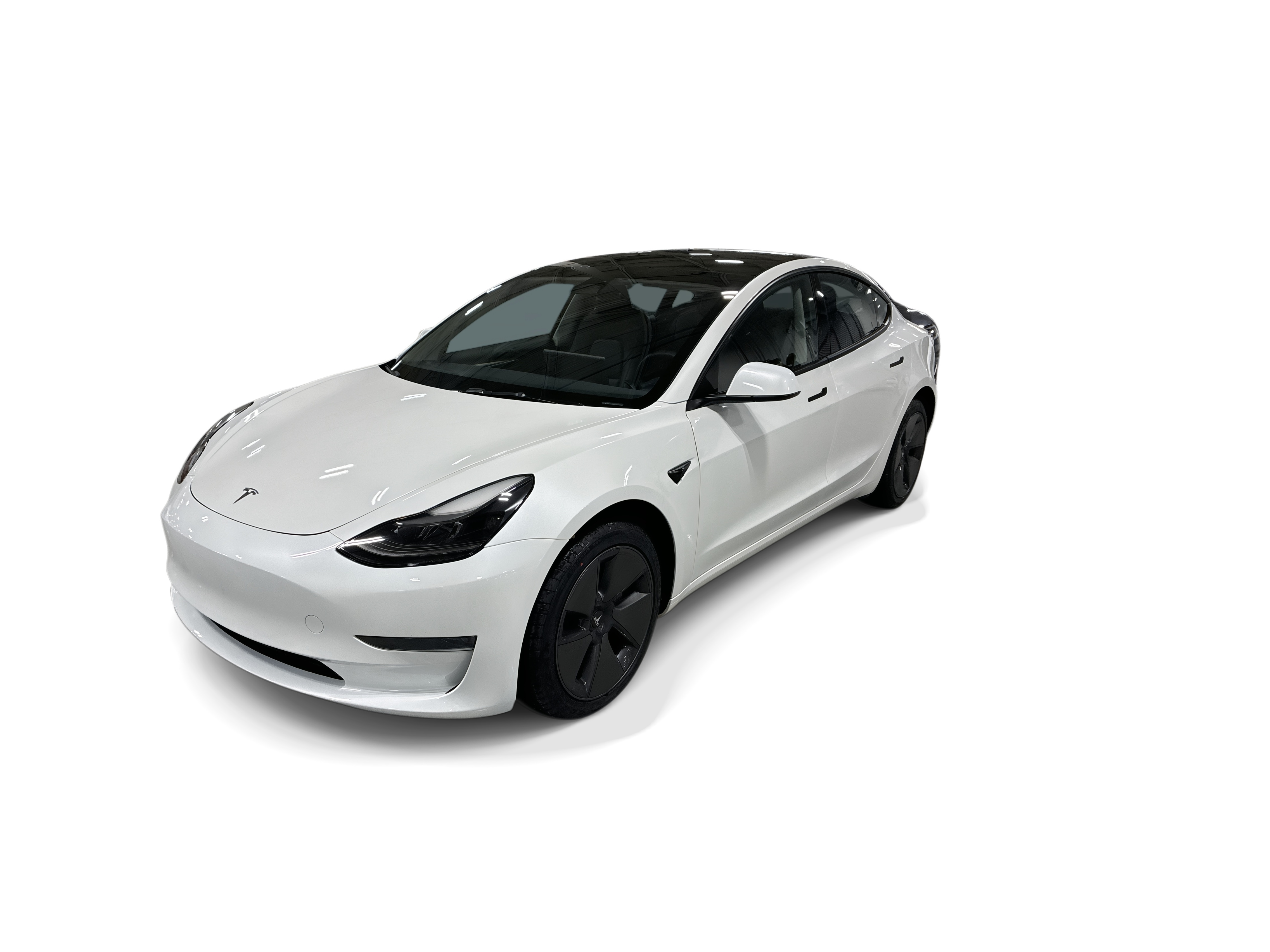 tesla model 3 2023 5YJ3E1EA7PF559790 image tesla model 3 2023 5YJ3E1EA7PF559790 image